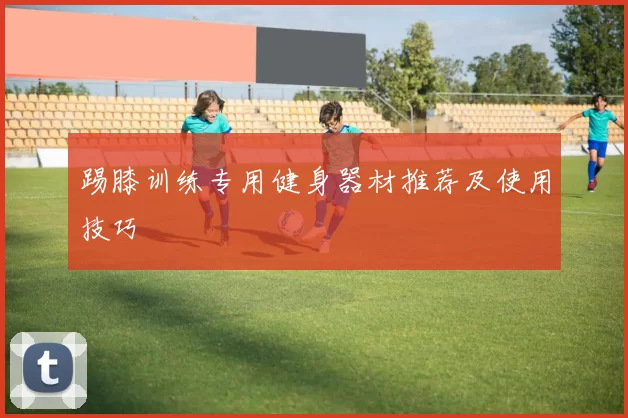 踢膝训练专用健身器材推荐及使用技巧