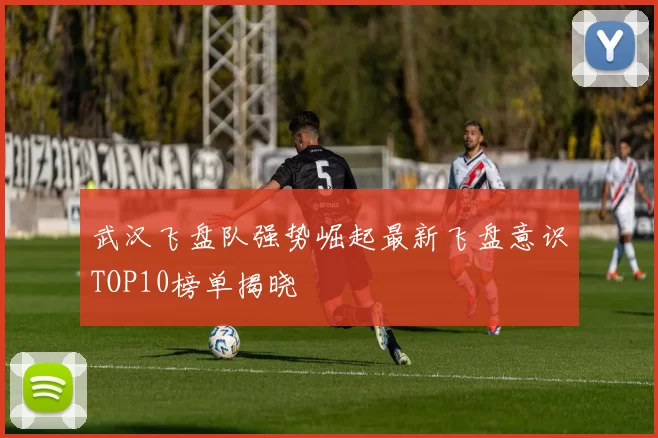 武汉飞盘队强势崛起最新飞盘意识TOP10榜单揭晓