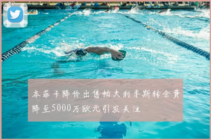 本菲卡降价出售帕夫利季斯转会费降至5000万欧元引发关注
