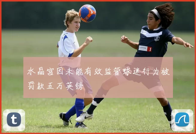 水晶宫因未能有效监管球迷行为被罚款五万英镑