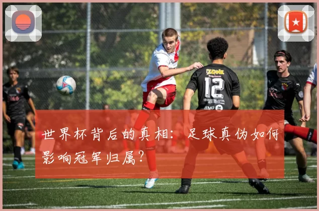 世界杯背后的真相:足球真伪如何影响冠军归属?