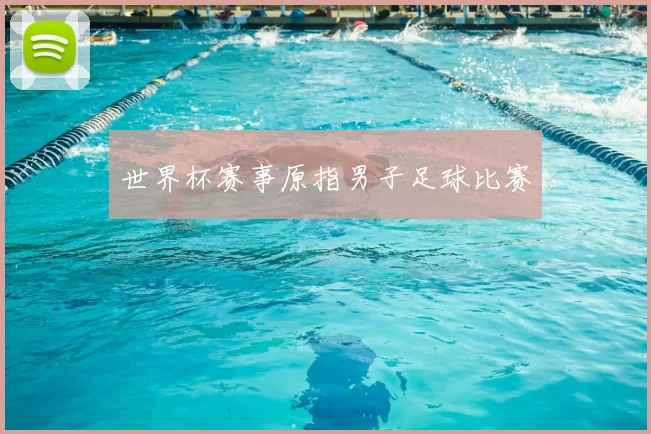 世界杯赛事原指男子足球比赛