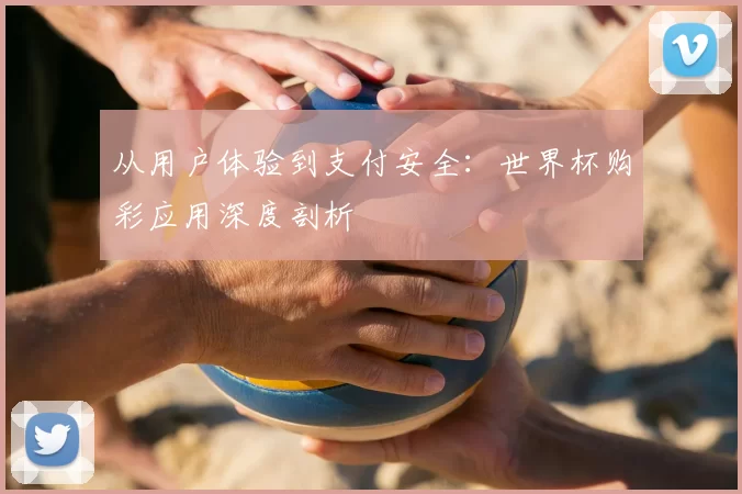 从用户体验到支付安全:世界杯购彩应用深度剖析