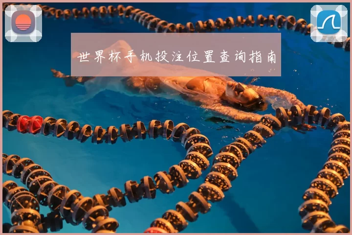 世界杯手机投注位置查询指南