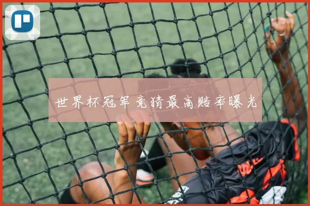 世界杯冠军竞猜最高赔率曝光