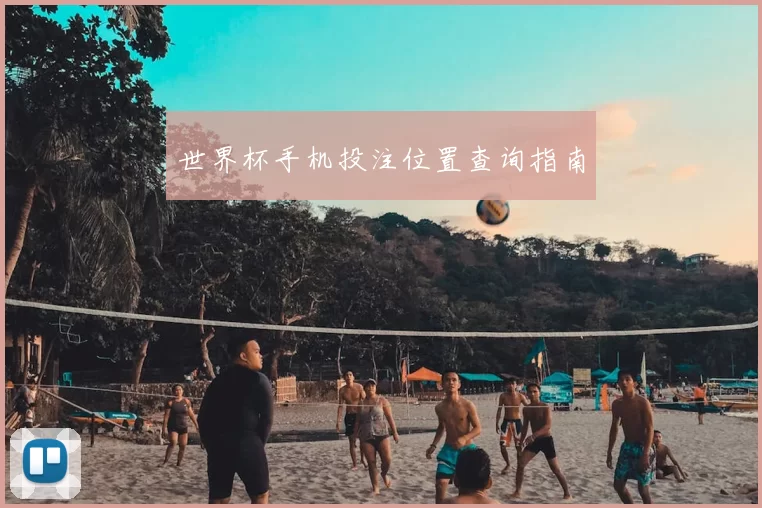 世界杯手机投注位置查询指南