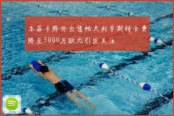 本菲卡降价出售帕夫利季斯转会费降至5000万欧元引发关注
