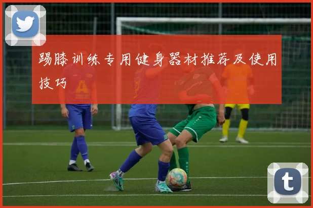 踢膝训练专用健身器材推荐及使用技巧