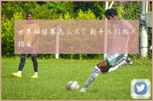 世界杯球赛怎么买?新手入门购买指南