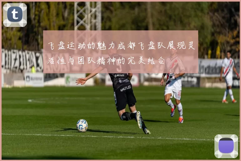 飞盘运动的魅力成都飞盘队展现灵活性与团队精神的完美结合
