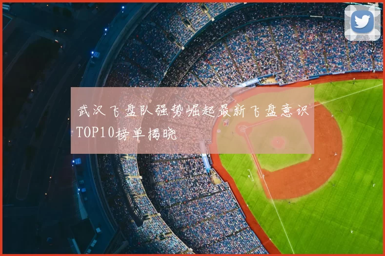 武汉飞盘队强势崛起最新飞盘意识TOP10榜单揭晓