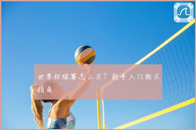 世界杯球赛怎么买?新手入门购买指南