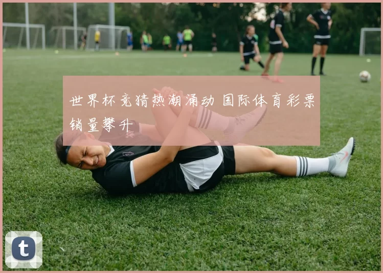 世界杯竞猜热潮涌动 国际体育彩票销量攀升