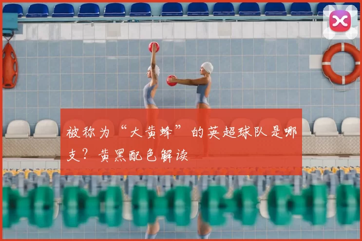 被称为“大黄蜂”的英超球队是哪支？黄黑配色解读